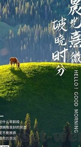 2017犬类世界杯-2017犬类世界杯，一场别开生面的宠物竞技盛宴