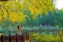 7足球即时比分-7分钟速览全球足球即时比分，数据背后的战术博弈与球迷狂欢
